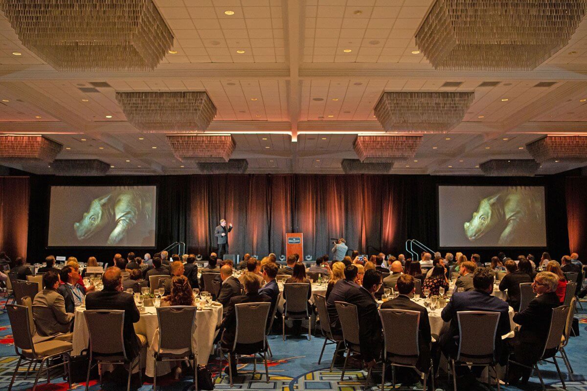 Inspiring Action Through Connections