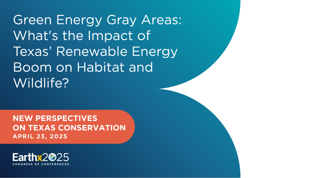 Green Energy Gray Areas